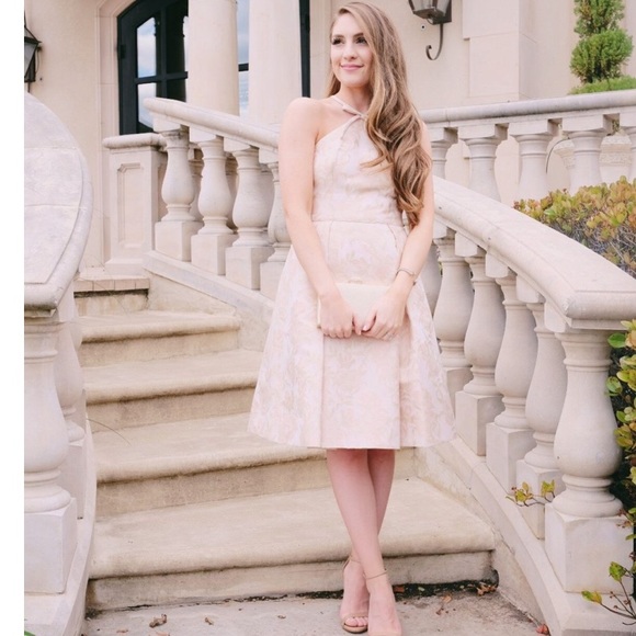 Gal Meets Glam Evelyn Holly Jacquard Halter Dress - Picture 2 of 14